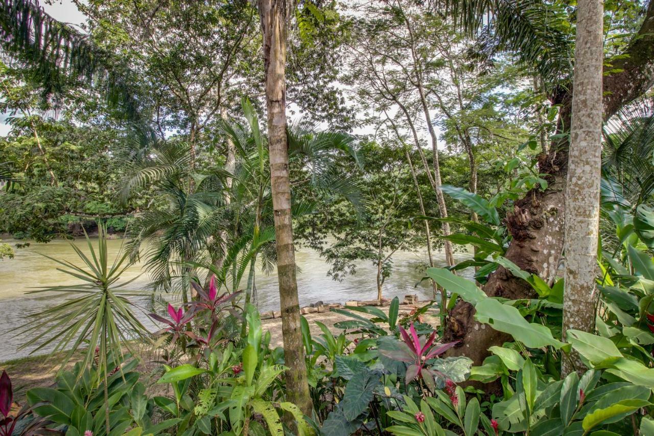 Mahogany Hall San Ignacio Esterno foto